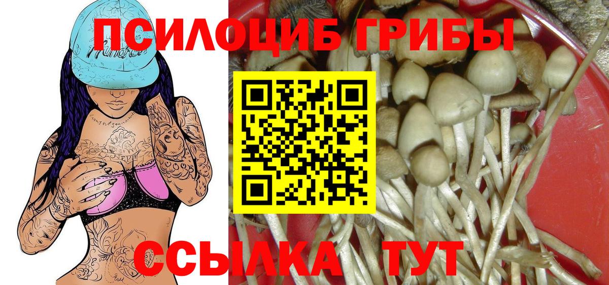 Старая Русса  Псилоцибиновые грибы Cubensis  Вход с VPN 